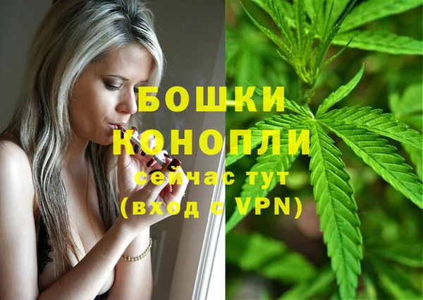 mdpv Мегион