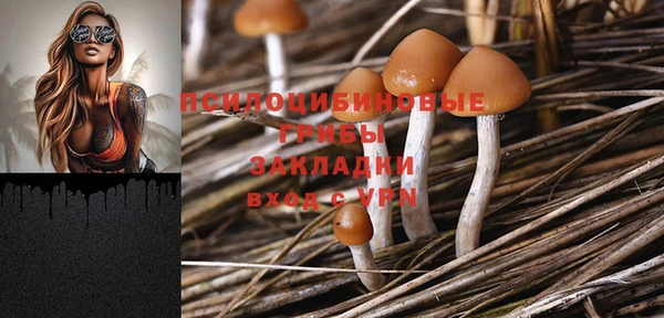 mdpv Мегион