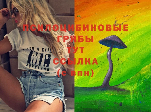 меф Медвежьегорск