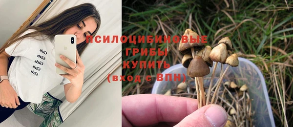 mdpv Мегион