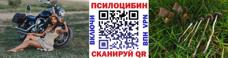 Псилоцибиновые грибы Psilocybe  мориарти Telegram  Пыть-Ях 
